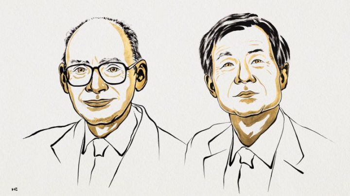 Henri Kagan and Kenso Soai awarded the Nobel Prize in chemistry for unraveling mystery of mirror molecules