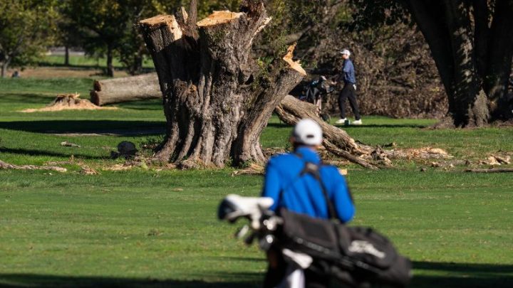 Tensions flare at court hearing on Trump’s golf course renovation after president says construction will begin ‘immediately’