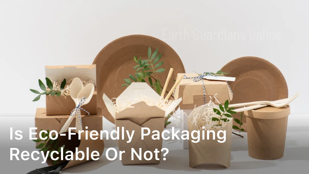 Is Eco-Friendly Packaging Recyclable or Not