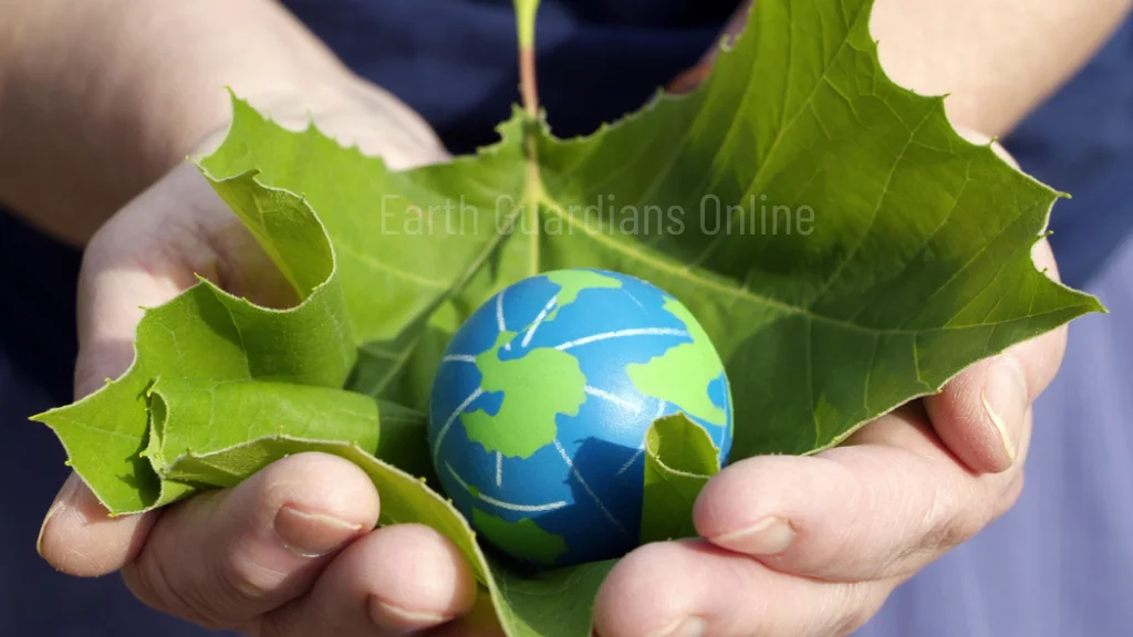 What Does Eco-Friendly Mean