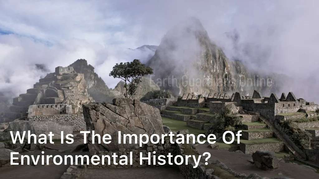 Importance of Environmental History