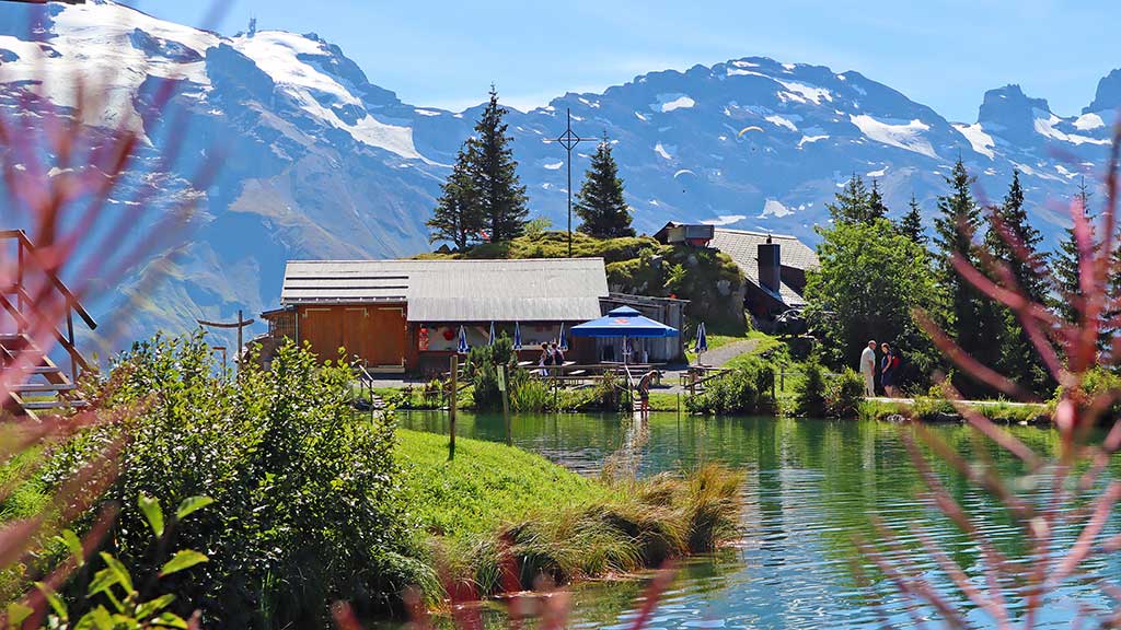 What is the Nature Communications Impact Factor