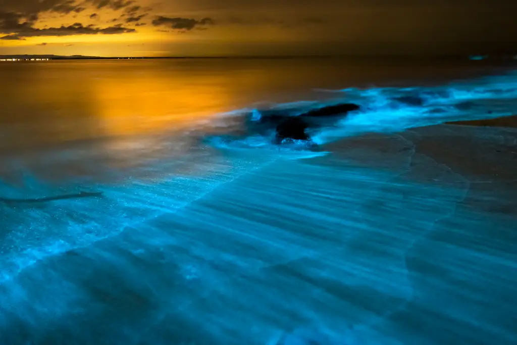 10 Most Mysterious Natural Phenomena​​ That Will Amaze You