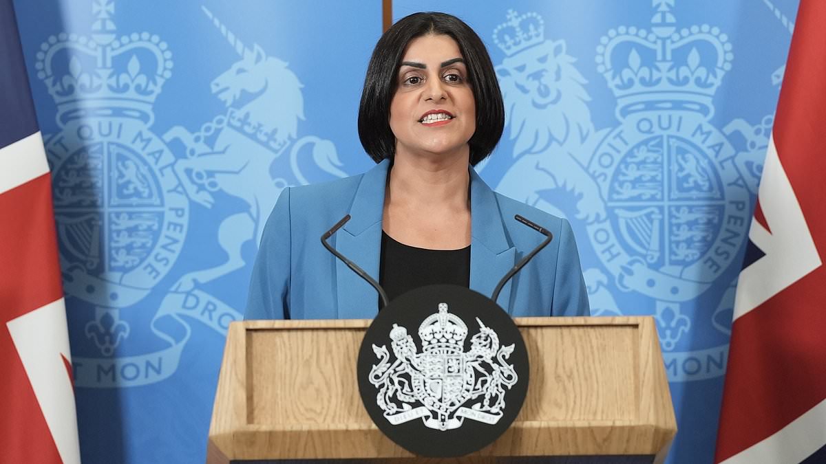 Labour’s ‘absurd’ plan handing failed asylum seeker families up to £40,000 to leave Britain branded an ‘insult’ to taxpayers