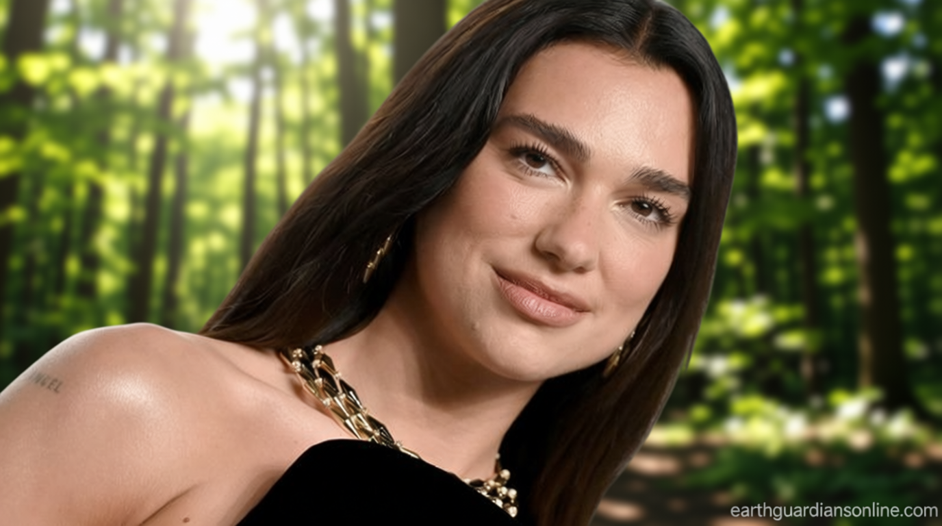 Dua Lipa suing Samsung for $15 million for allegedly using her image on TV packaging