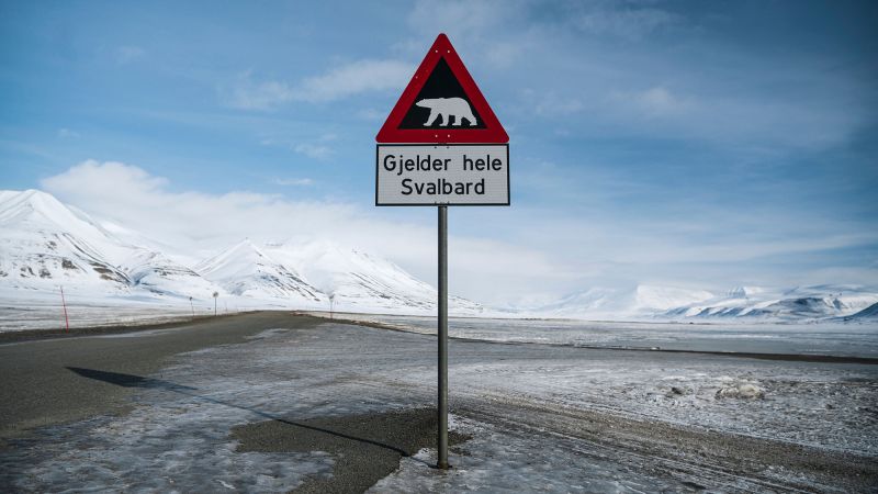 Person fined $5,000 for using foghorn to disturb sleeping polar bear
