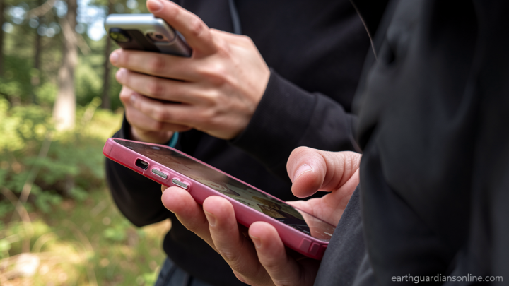 France’s top court blocks bill banning social media for under-15s