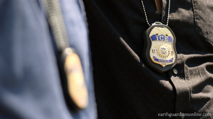 ICE pitches legal insurance to help shield local officers who make immigration arrests
