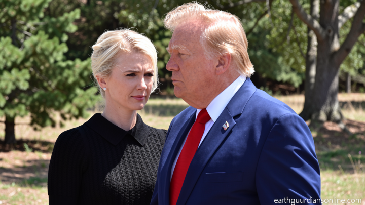 ‘My Guardian and Protector’: Natalie Harp letters express her devotion to Trump
