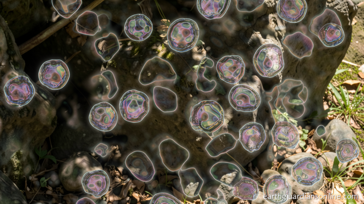 Two people in Pennsylvania have died from measles