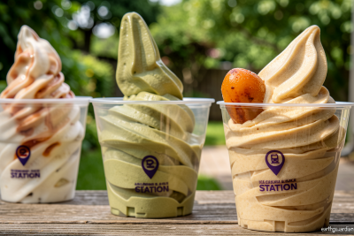 A date to remember: The Abu Dhabi ice cream maker turning palm trees into soft serve