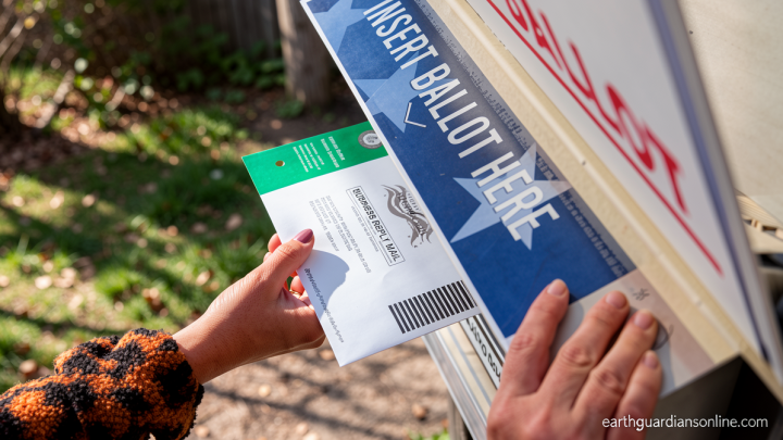 Judge pauses US Postal Service plan to implement Trump’s new mail voting restrictions