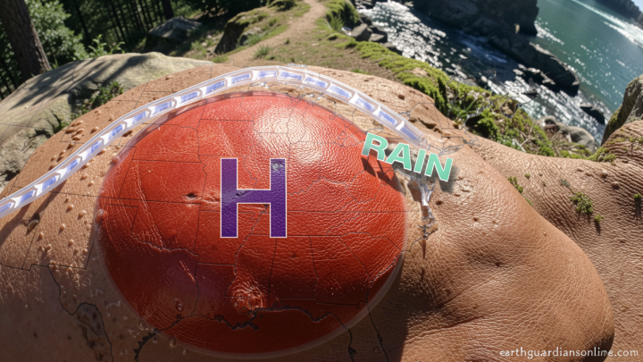 A massive heat dome is bringing storms to the Northeast, and causing sweltering temperatures heading into fall