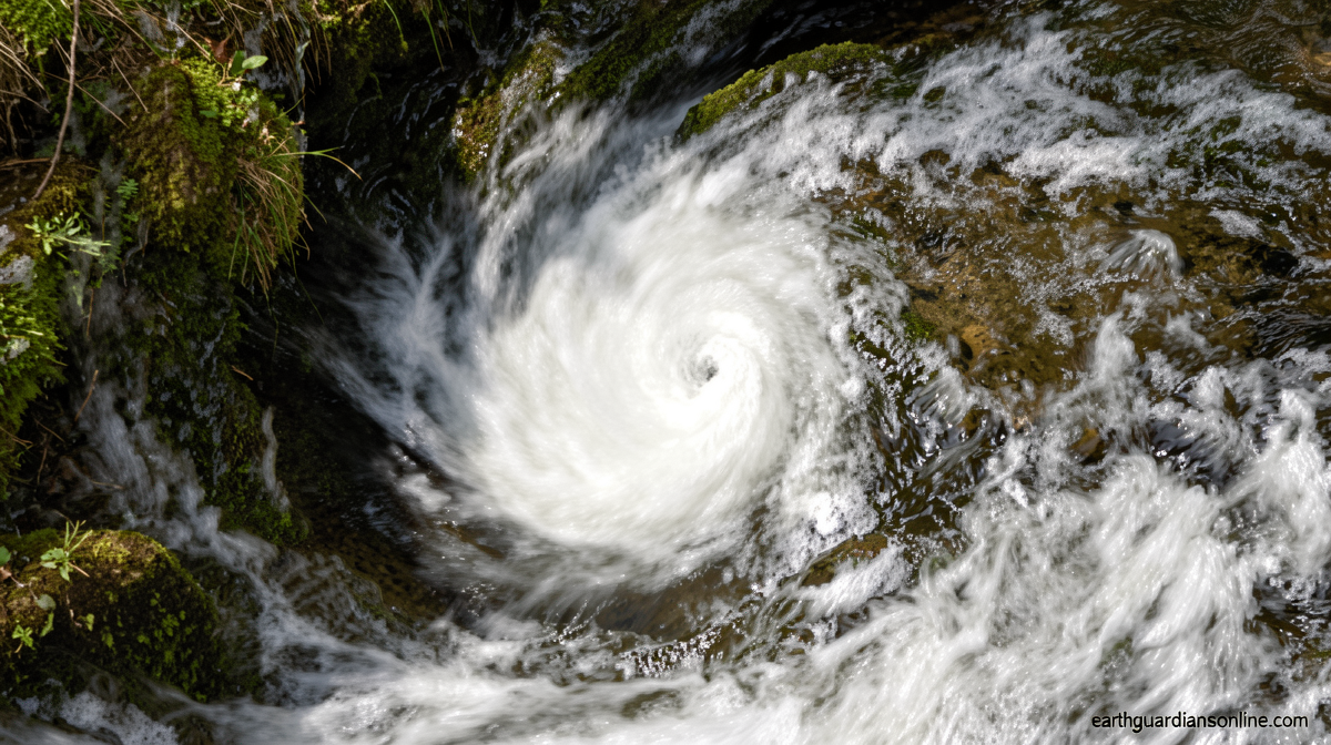 Hurricane Lowell strengthens to Category 5 as Hawaii braces for possible impacts